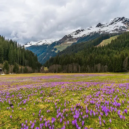 شقة In Near Spieljochbahn